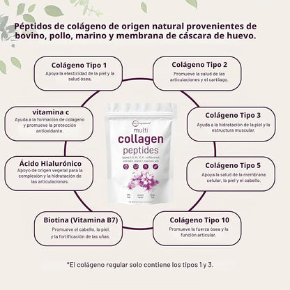 Multi Colágeno Péptidos | 1 Lb